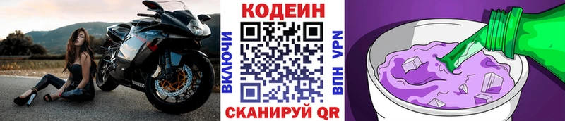 блэк спрут маркетплейс  Елизово  Кодеин Purple Drank  где можно купить наркотик 