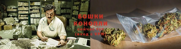apvp Богородицк