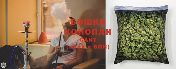 крисы Белокуриха