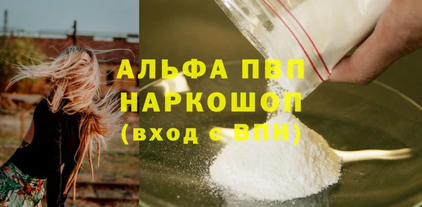 крисы Белокуриха